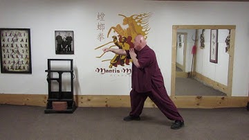 Beng Bu:  Hao family Praying Mantis - Tutorial 1