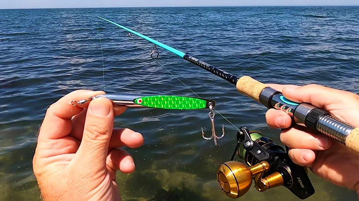 Tasty Speedster Fishing - Surfcasting and Boat!
