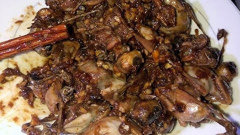 Chim sẻ khìa nước dừa