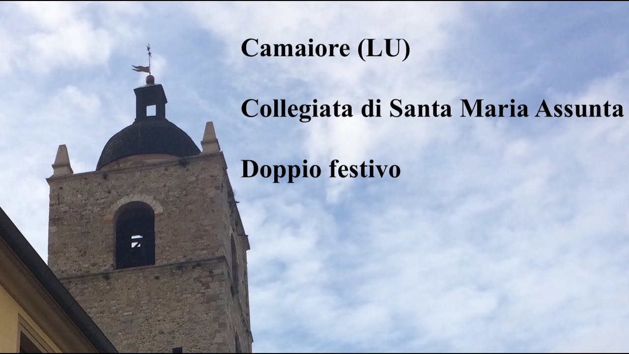 Campane della Collegiata di Santa Maria Assunta in Camaiore (03) (LU), v.233