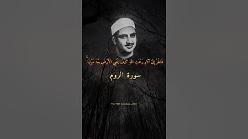 القارئ محمد صديق المنشاوي : سورة الروم 