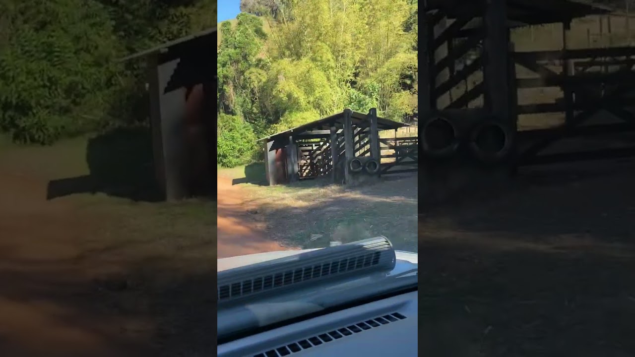 Bifurcação caminho Serro Frio e Barra do Sana passando pela Bicuda pequena pra chegar propriedades