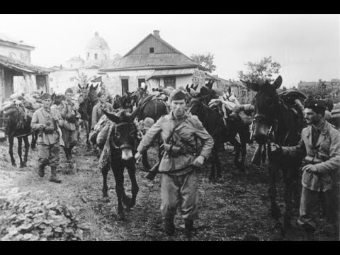 Call of Duty 2 HCTM2 (Patch 2.03) Gameplay Battle of Petrikowka YouTube