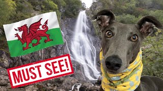 GREYHOUND shows you ABER FALLS and CONWY. Don’t miss this spectacular sight!