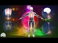 Alpha Waves Heal The Entire Inside Of The Brain-Cleanse Your Body &amp; Soul, Positive Energy Flow 432Hz