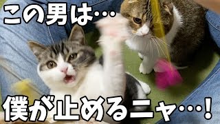 【深夜のおっさん】歌ったら猫にキレられました…