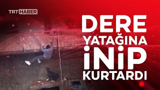 Mahsur Kalan Köpek Için Dereye Indi