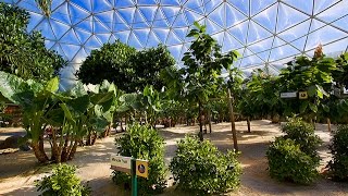 Living With The Land Complete Experience  Epcot Walt Disney World