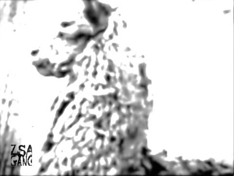 ZSA GANG - B2 (Off Minor Recordings, 2014)
