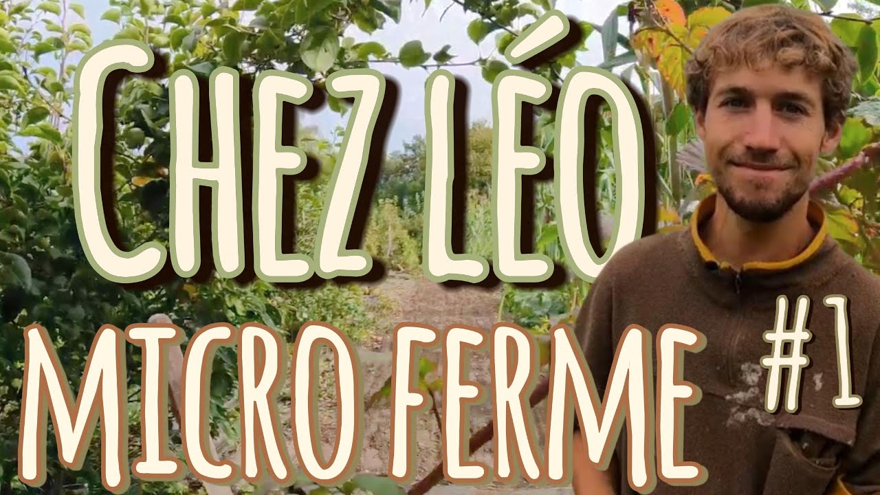 #1 : Microferme en permaculture avec : @Léo Drevet. #permaculture