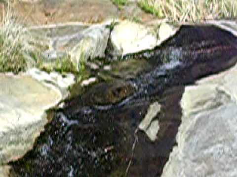 idaho state Close Up of the Second Waterfall