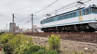 EF65-2127単機 甲種送り込み