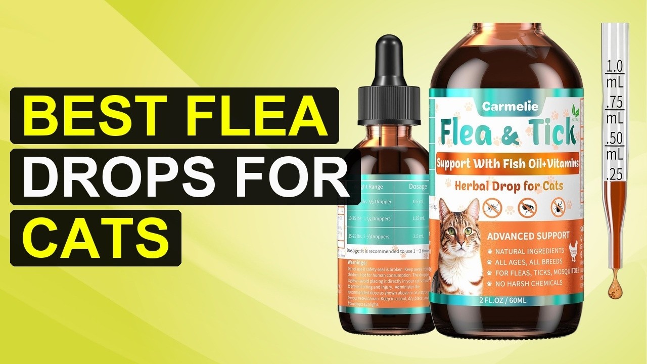 Top 5 Best Flea Drops For Cats | Top Flea Drops For Cats - YouTube