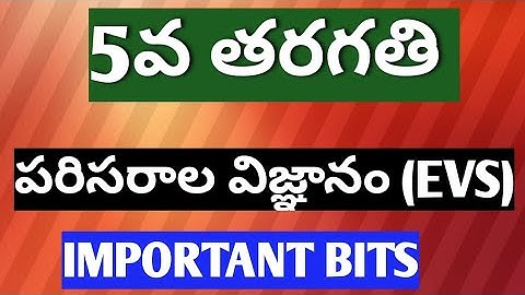 || 5th class EVS || IMPORTANT BITS || TS TET#TRT || AP TET || AP DSC||