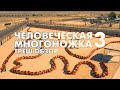 Треш Обзор Фильма ЧЕЛОВЕЧЕСКАЯ МНОГОНОЖКА 3