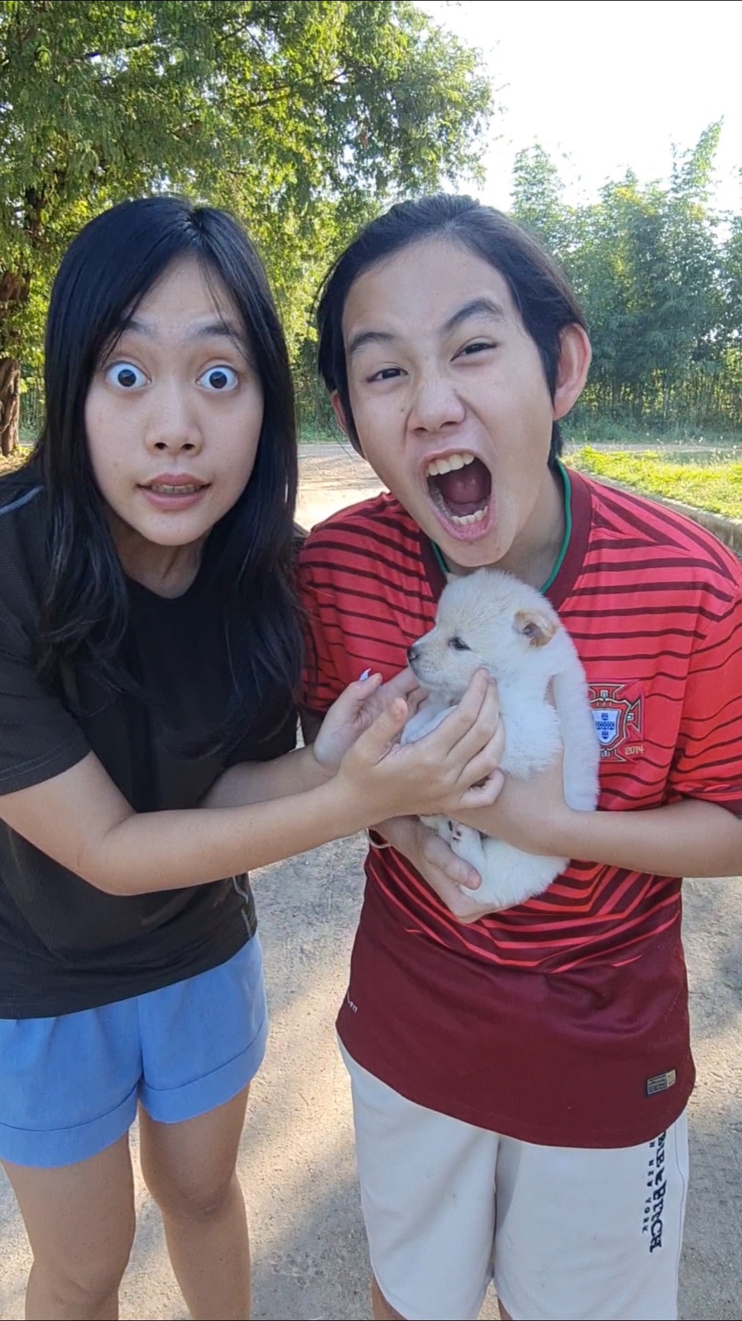 Poor Girl? and Pack Of Doggo‼️?  | JJaiPan #Shorts #funnydog