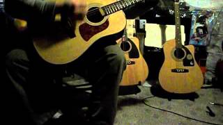 NST 5 String Guitar CGDAE Demo Mandocello / Octave Mandolin