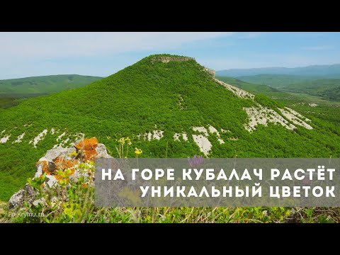 Video: Bazhov Ruhuyla