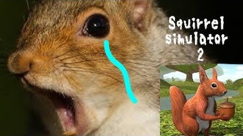//Doing a random mess//Squirrel simulator Online 2