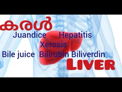 കരൾ #important points in 5 minute/Liver#bile juice, bilirubin, biliverdin/juandice