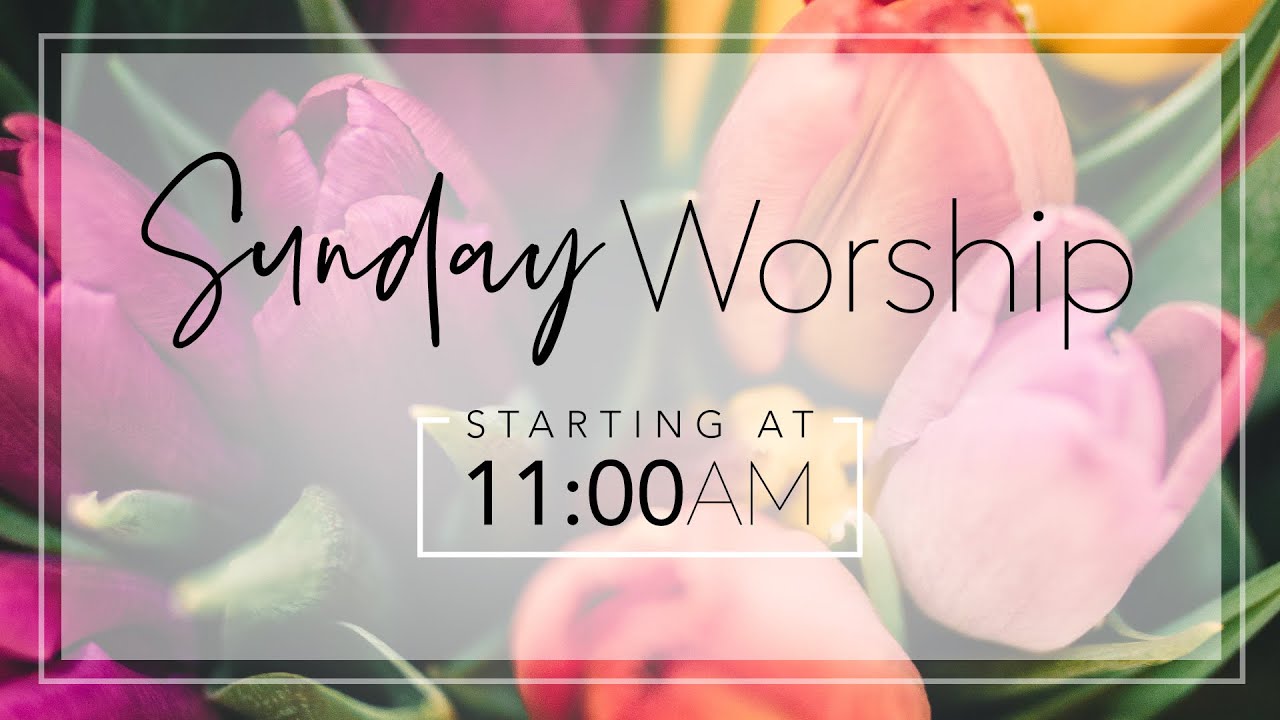 New Providence Baptist Church Live Stream