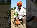 Village culture.#trendingshorts #viralvideo #shortsviral #humor #love
