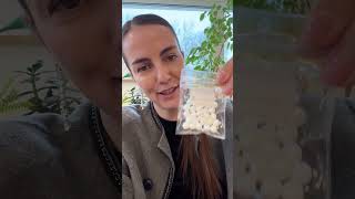 🤍 Cloud Dancer: белый правит балом по версии Pantone