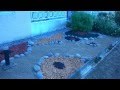 Jardin seco valpo,viña,con con