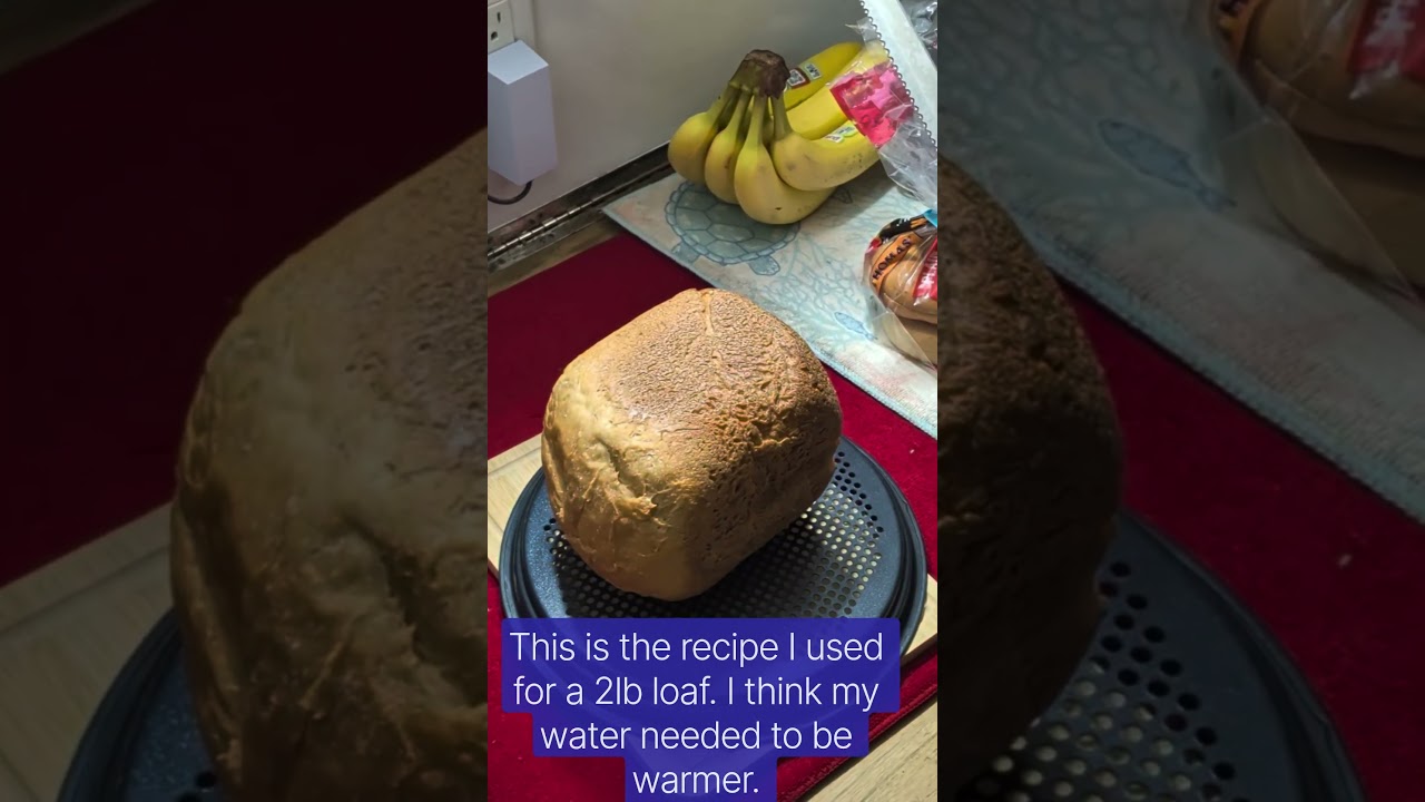 ⁣First attempt at making bread. #sailing #homemade #bread #breadrecipe #westbend