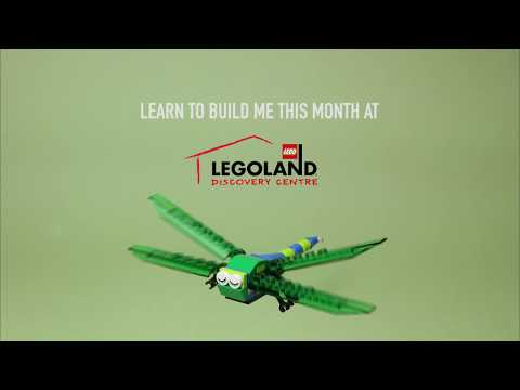 Dragonfly Build Animation