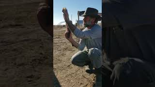 MasterJect - How to give Pasture Pigs Shots