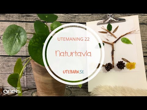 Utemaning 22 - Naturtavla