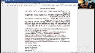 B'nai Israel Virtual Congregational Passover Seder 2nd Night 5781
