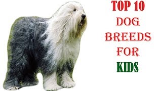 Top10 Dog Breeds For Children l Dog Love Planet by Dog Lover planet 33 views 6 years ago 4 minutes, 23 seconds