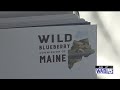 Wild blueberry industry leaders meet to address shrinking acreage