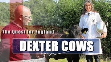 Frances and Her Greyfriars Dexters