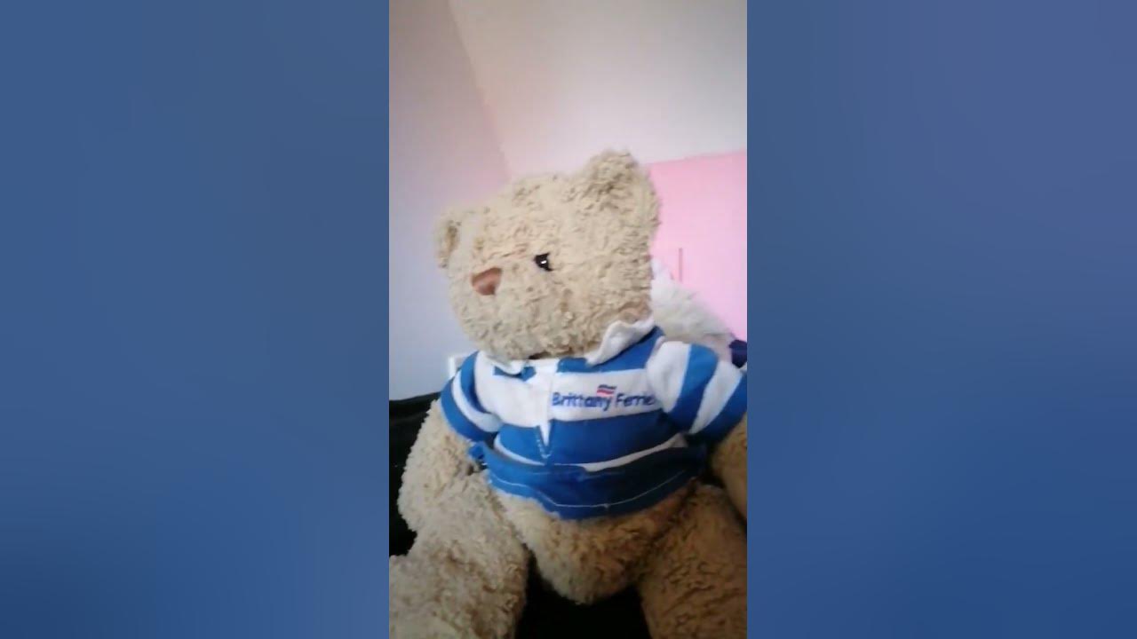 ESSA : Emotional support stuffed animal 