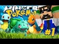 WE MADE A NEW GAME! NO MODS to DOWNLOAD! (Minecraft: Pokemon)