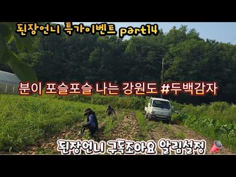 강원도 두백감자 마지막 특가이벤트 #감자#강원도 감자#두백감자 #원주새벽시장 #농산물직거래 #풍경 #원주