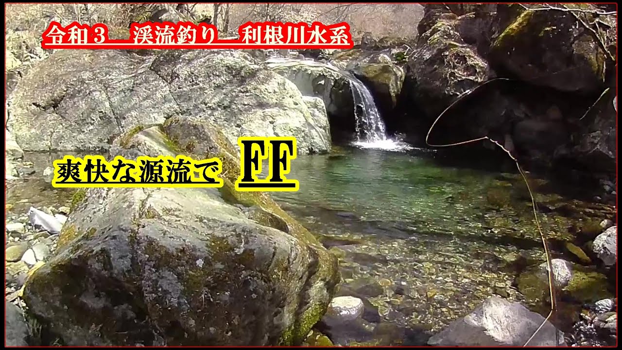令和３ 渓流釣り 利根川水系 爽快な源流でフライフィッシング Youtube