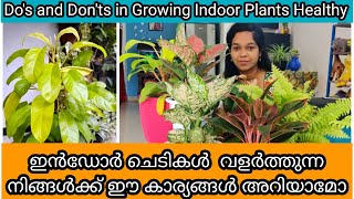 15 Tips to Grow Indoor Plants Healthy | Fertilizer | ഇൻഡോർ ചെടി ഭംഗിയോടെ വളർത്താൻ 15 ടിപ്സ്