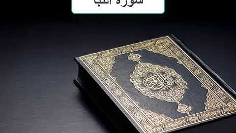 سورة النبأ بصوت الشيخ ناصر القطامي