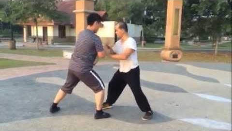 Tai chi secret movement - pengin and power push hands training