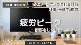 【夏バテ気味】TOEIC800点を目指す36歳会社員の仕事×子育て×勉強 平日ルーティン【Study Vlog #025】
