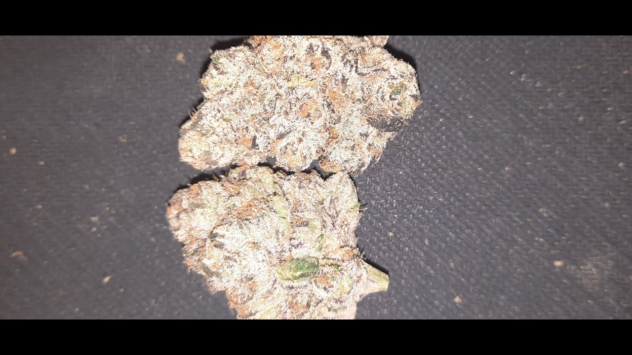 Backpack Boyz - Flower Review that's MIND BLOWING!