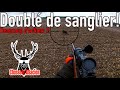 CHASSE EN BATTUE - Beaucoup d&#39;action (driven hunt )