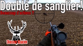 CHASSE EN BATTUE - Beaucoup d&#39;action (driven hunt )