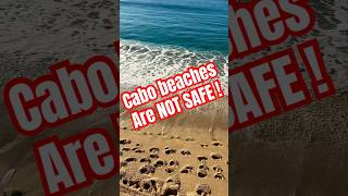 NOT SAFE- be careful in Los Cabos #travel #ocean #shorts NOT SAFE- be careful in Los Cabos #travel #ocean #shorts
