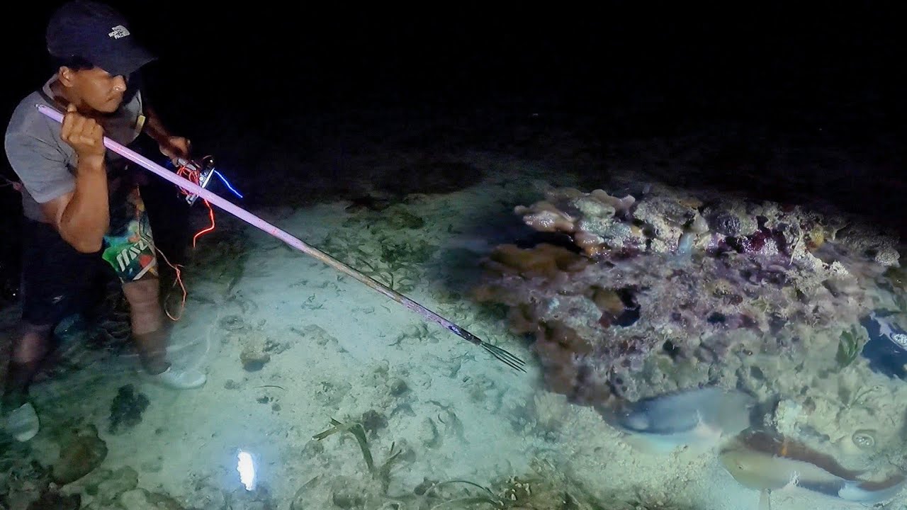 Menombak ikan tengah malam musim badai hasil  melimpah