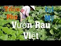 'Triệu Phú' vườn Rau Việt giữa Thủ Đô Mỹ dời đi 10/2018 *1* | Life of US - Vegetables Farm 💎181